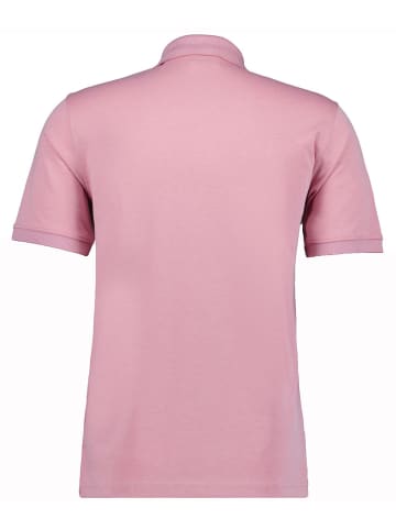 Ragman Polo in rosa
