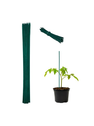 relaxdays 100 x Pflanzenstab in Grün - (H)60 x Ø 0,6 cm