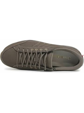 Joya Freizeit Schnürer für Herren in braun