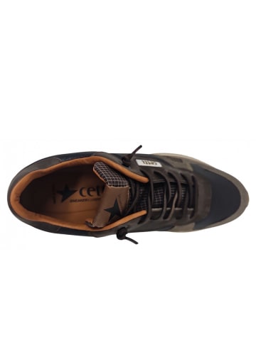 Cetti Sneaker Ante Napa Moka in Braun
