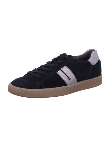 Paul Green Sneaker Low in schwarz