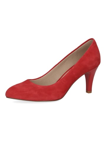 Caprice Pumps in Rot