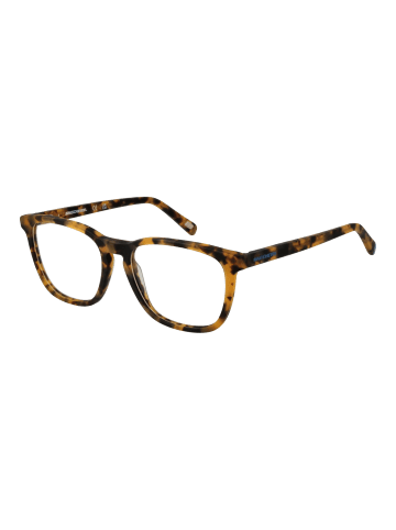Skechers Unisex Optische Fassungen Quadrat Braun