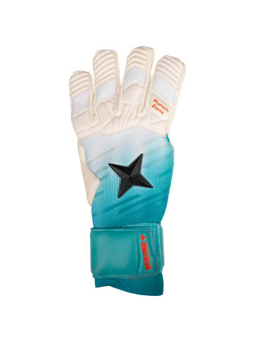 Derbystar Torwarthandschuh APS Pro Grip Aqua in weiß / türkis