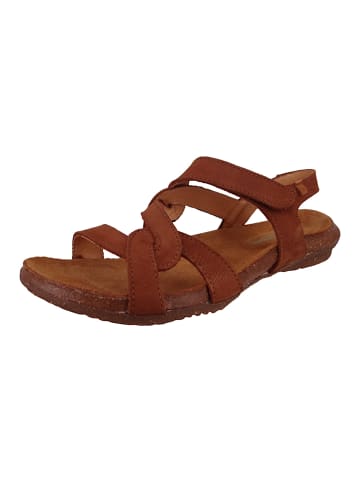 El Naturalista Sandalen braun