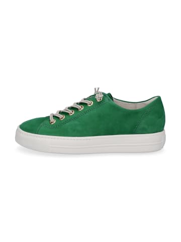 Paul Green Sneaker in Grün