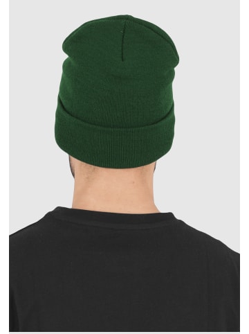  Flexfit Beanies in spruce