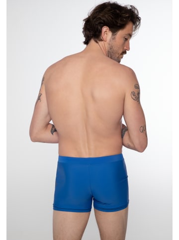 Protest " CARST in True Blue