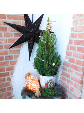 NatureNest Weihnachtsbaum mit Beleuchtung Starlight im Weihnachtsmann-Topf  
