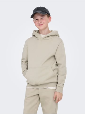 ONLY & SONS Junior Kapuzenpullover in Silver Lining
