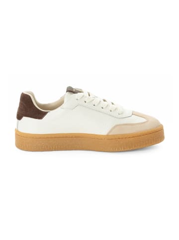 Tamaris Sneakers Low 1-23733-46 in bunt