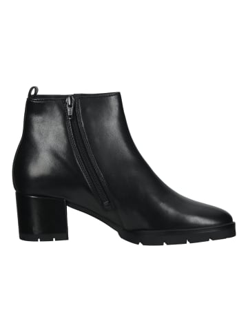 Högl Stiefelette in Schwarz