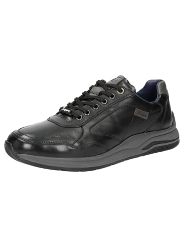 Sioux Sneaker Turibio-711-J in schwarz