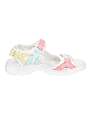 Ecco Outdoorsandalen Offroad in OLD ROSE EMERALD SUN
