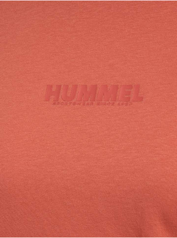 Hummel Hummel T-Shirt S/S Hmllegacy Damen in APRICOT BRANDY