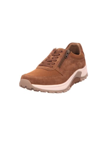 Pius Gabor Sneaker in braun