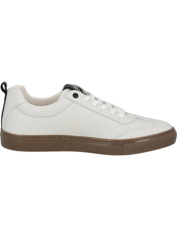 palado Sneakers Low in white/black