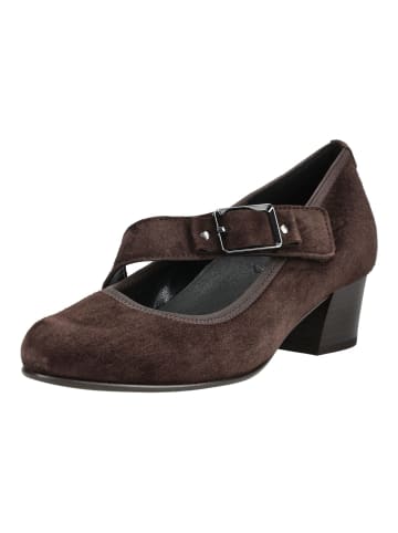 Gabor Pumps in Mocca
