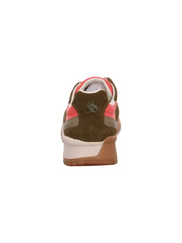 Scotch & Soda Sneaker Vivi in Grün
