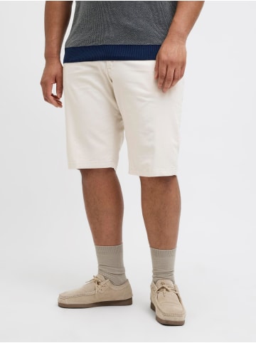 JACK & JONES PLUS Shorts in Moonbeam