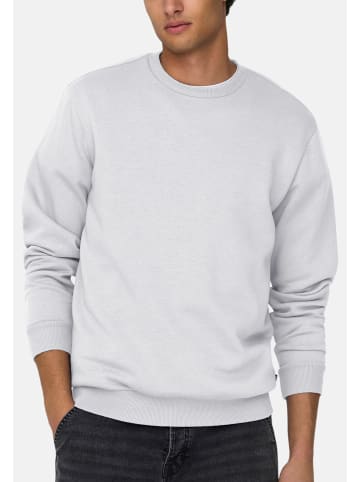 ONLY & SONS Sweatshirt Ceres in Hellgrau