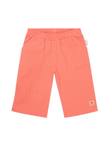 Noppies Hose Merlin in Shell Pink