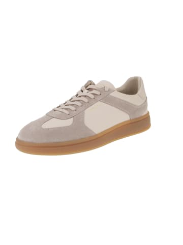 Gant Sneaker low Cuzmo in Beige