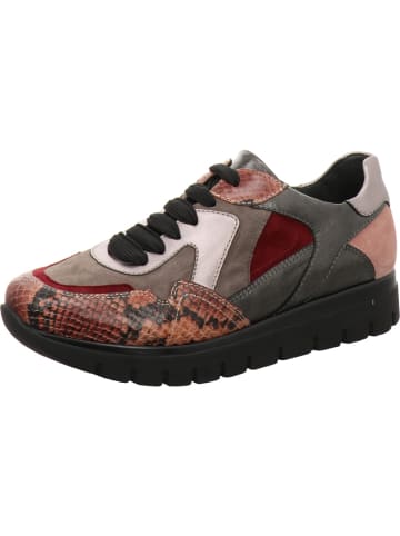 Semler Sneaker Low in bunt
