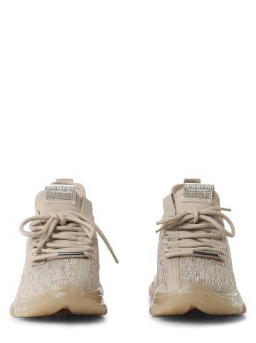 Steve Madden Sneaker Maxout in beige