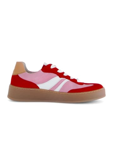 Gabor Sneaker low in multicolour