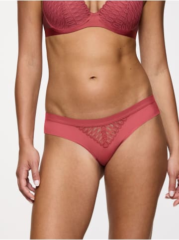 Triumph Brasilslip Red Label Aura Spotlight in STRAWBERRY ALLURE