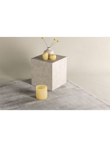 ebuy24 Teppich Blanca Hellgrau 160 x 230 cm