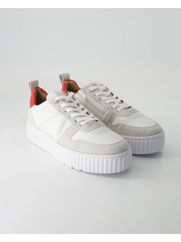 SALAMANDER Sportliche Schnürschuhe in Grau