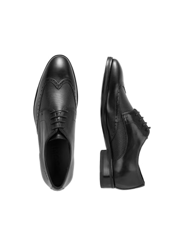 JOOP! Lace Up 'Piatto Clyde Brogue in Schwarz'