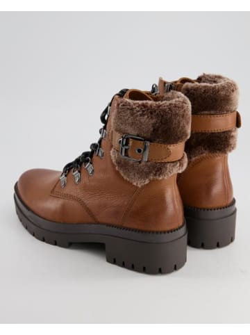 Terry Winterboots & Moonboots in Braun