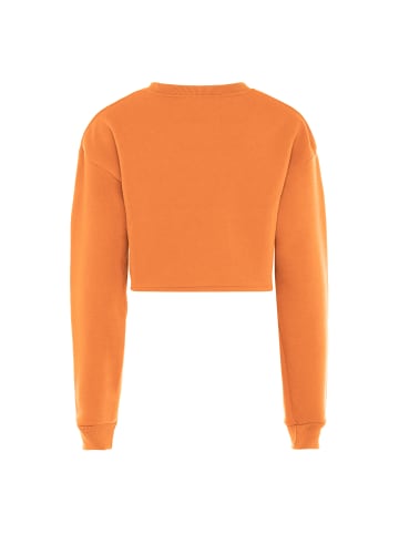 Exide Damen Sweatshirt in Aprikose