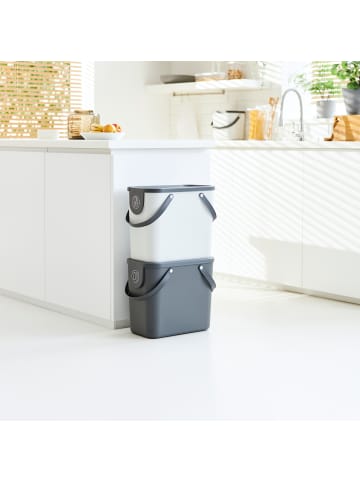 Rotho Albula Mülltrennungssystem 25l für die Küche in Anthrazit