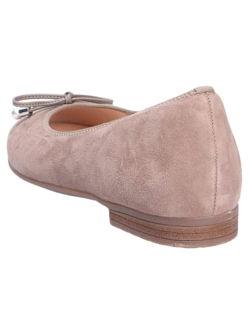 ara Ballerina in taupe