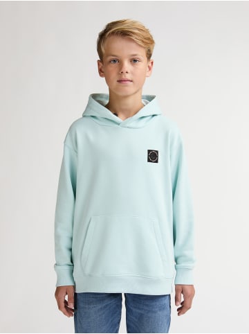 Petrol Industries Kapuzensweatshirt Ballena in Grün