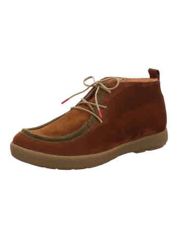 Think! Ankle Boot GEOAG in Schoko/Kombi