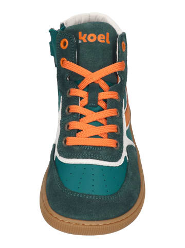 KOEL Sneaker High DANISH NAPPA in bunt