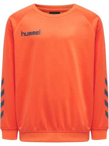 Hummel Sweatshirt Raglanärmel Hmlpromo Kinder in NASTURTIUM **DO NOT USE