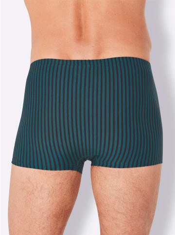 Comte Pants in petrol-gestreift