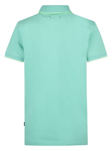 Petrol Industries Klassisches Poloshirt Castaway in Grün