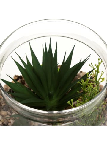 Atmosphera Créateur d'intérieur Kunstpflanze in transparent