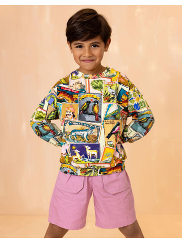 Oilily Harvest Sweater in Grün