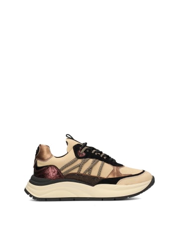 POELMAN Poelman CHARU Damen Sneaker
