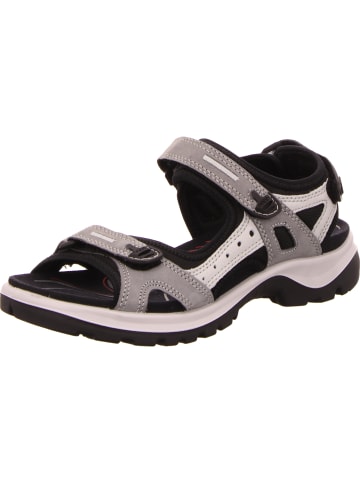 Ecco Sandale in grau