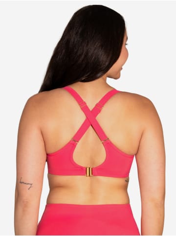 SugarShape Schalen-Bikini-Top VALENCIA CHIC in flamingo swim