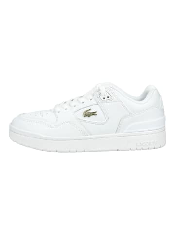 Lacoste Sneaker in Weiß/Gold